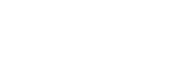 DynamicMSSP